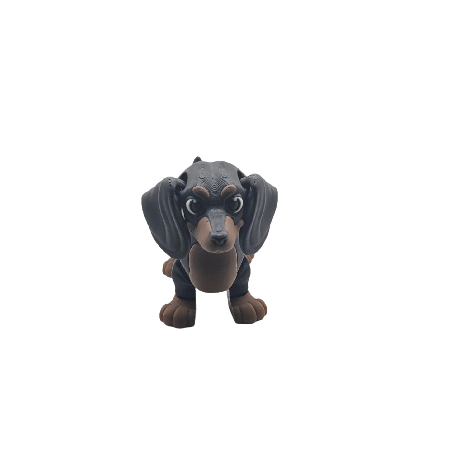 Dog-Dachshund