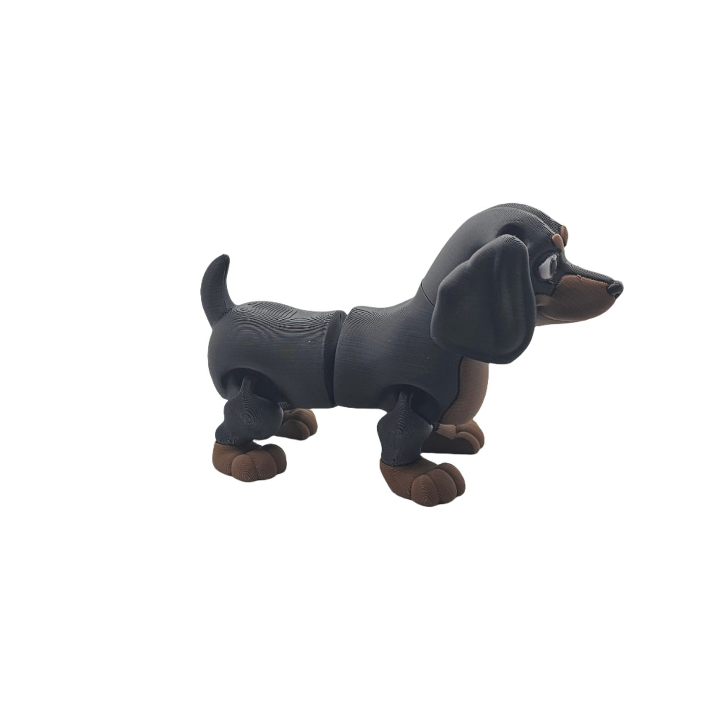 Dog-Dachshund