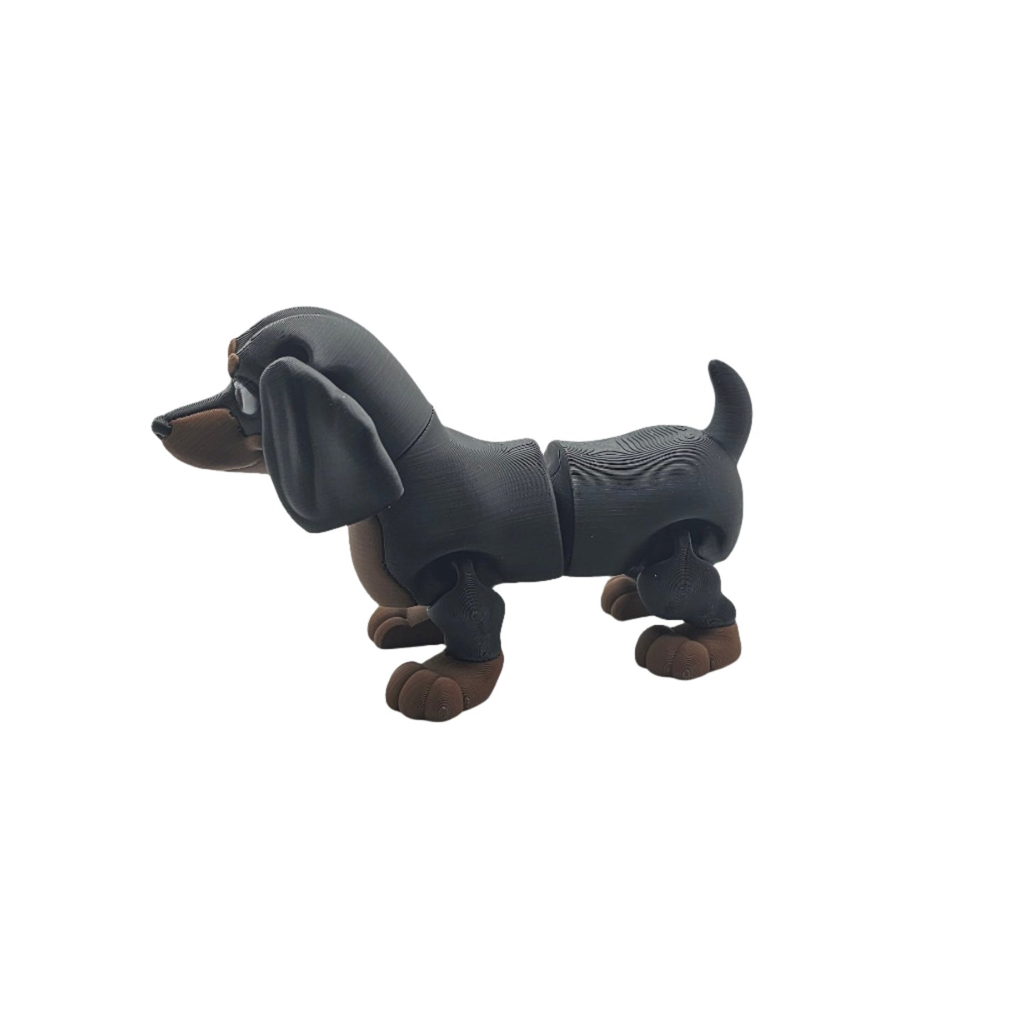 Dog-Dachshund