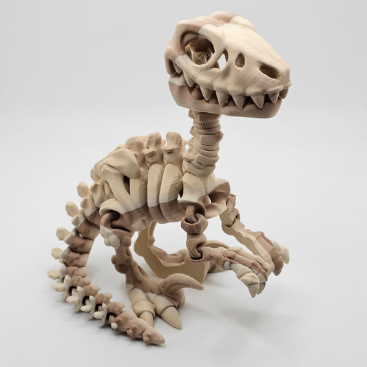 Skelly Raptor