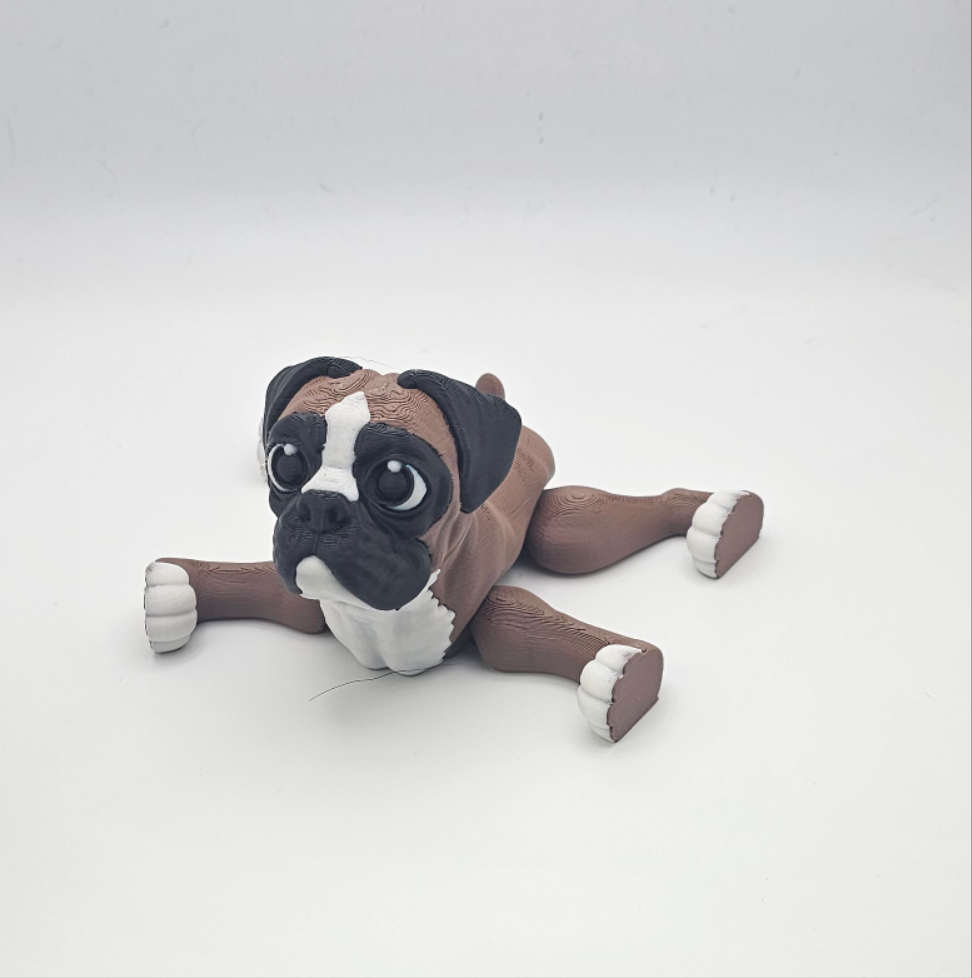 Dog-Boxer