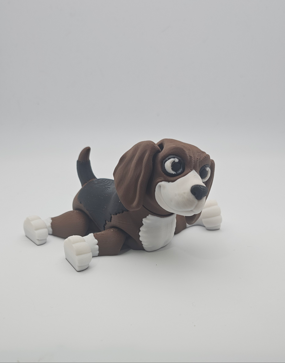 Dog-Beagle