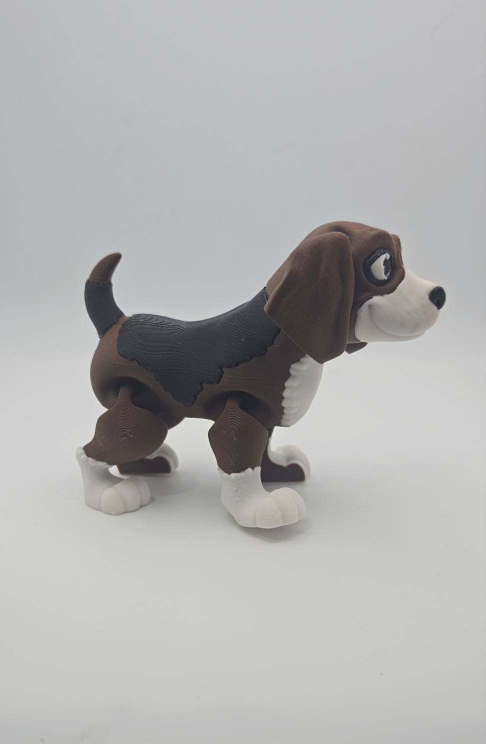 Dog-Beagle